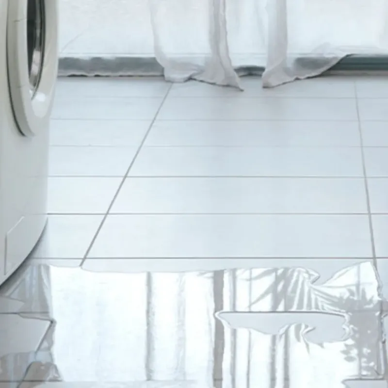 Appliance Leak Cleanup in Napavine, WA