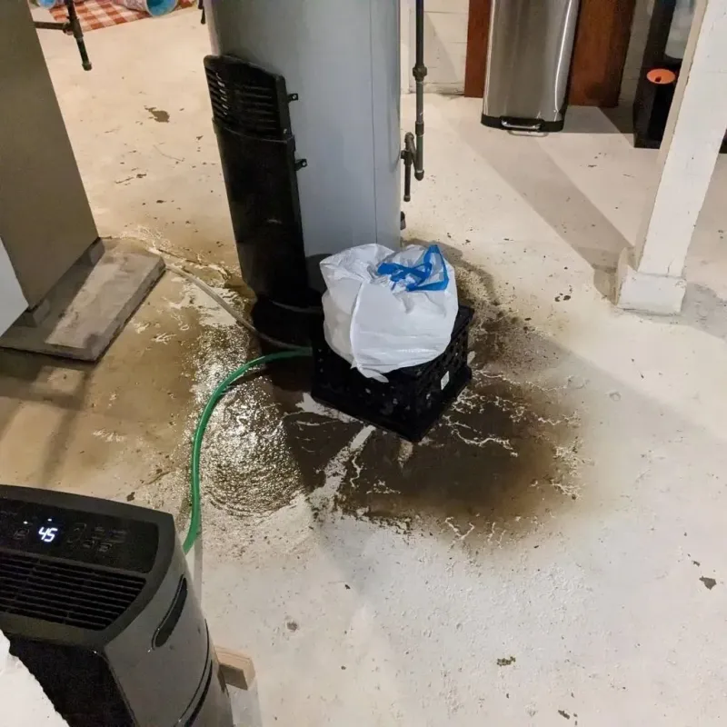 Sewage Backup Cleanup Service in Napavine, WA